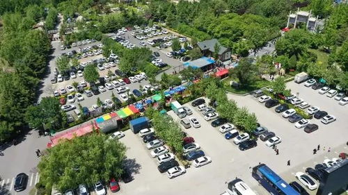 五一 假期圓滿收官,新甫山旅游人次和經營收入均創歷史新高