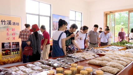 桃花源:“送客入村”添人氣 “旅游扶貧”有底氣