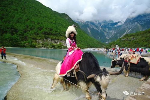 云南旅游聘任李堅為公司總經(jīng)理