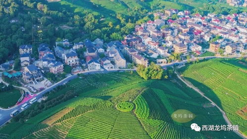 龍塢茶鎮(zhèn)成功創(chuàng)建國家4a級旅游景區(qū)