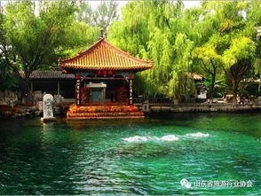 景區整改須標本兼治回歸初心