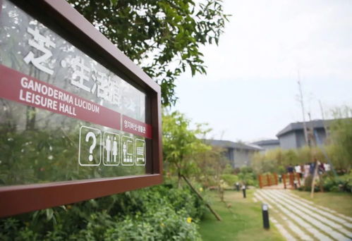 養(yǎng)老好地方,在融安過(guò)上 七樂(lè)融融 好生活