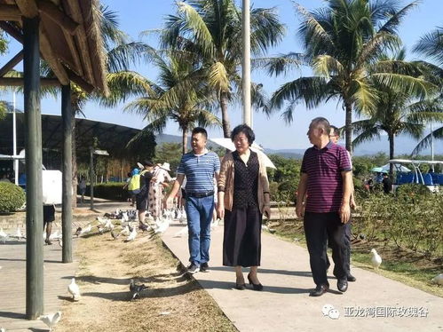 全國總工會 省總工會及三亞市總工會到我景區(qū)調(diào)研指導(dǎo)