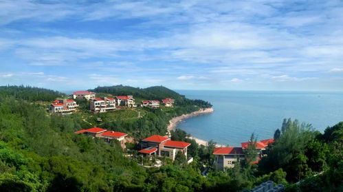 你的整個新春假期要被它一次承包啦