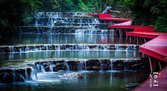 春節(jié)攻略 2019年春節(jié)假日南寧居然這么多活動