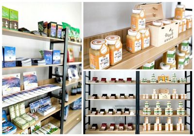 基層動態(tài)|伊春碧水箐山旅游掛牌成立,帶嶺旅游網(wǎng)站上線