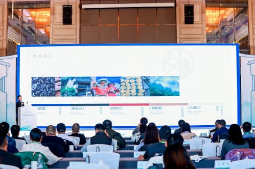 浙江省鄉村旅游 運營 專題培訓活動 在新昌舉辦