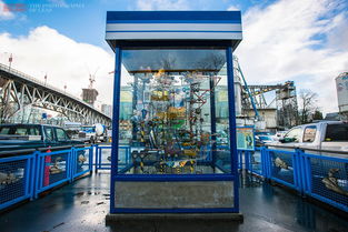 看過這樣的水泥廠,才知道加拿大有多發達,我們的差距不是一點點