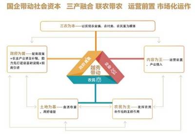 三產如何融合發展?來廣州從化這個國家級田園綜合體看看