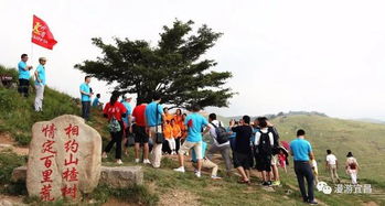 湖北二十九個旅游扶貧優質項目獲省級金融支持,有你到過的景區嗎