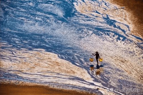 適者生存,旅游景區(qū)運(yùn)營管理的創(chuàng)新思維