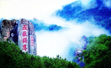 濱州市文化和旅游局:讓公共服務(wù)平臺(tái)更便民