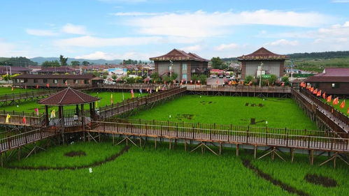 醉 美假期嗨不停,國慶就來遼源市