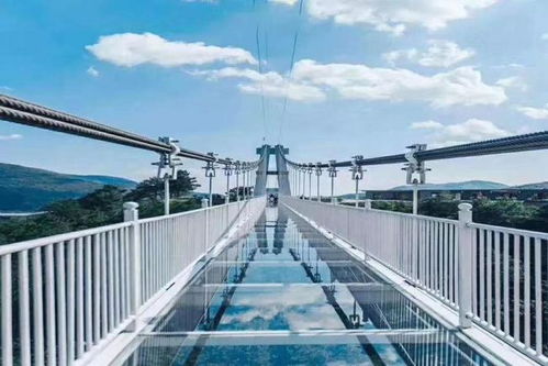 景區(qū)網(wǎng)紅項目與旅游景區(qū)經(jīng)營管理