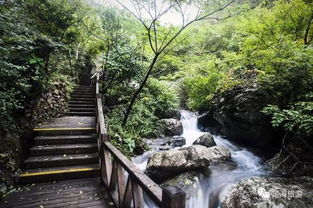 定海旅游景區管理辦法頒布，規范景區等級評定與經營管理