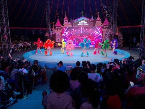 五一假期中國文旅集團開曼景區迎客逾20萬人次，景區經營管理成效顯著